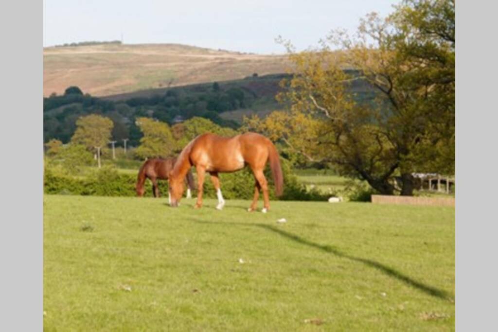 Upper Heath Farm - Stable Cottage Ludlow クレイブン・アームス エクステリア 写真